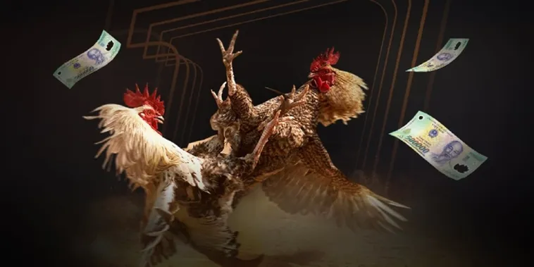 Trải Nghiệm Cá Cược Đá Gà Z8Bet Đỉnh Cao Nhận Thưởng Lớn Hàng Ngày