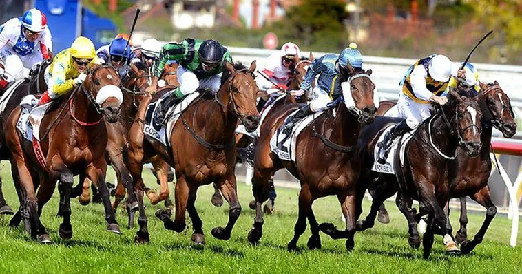 Tìm Hiểu Cá Cược Đua Ngựa Z8Bet Chuyên Sâu Từ Chuyên Gia 2 Tìm Hiểu Cá Cược Đua Ngựa Z8Bet Chuyên Sâu Từ Chuyên Gia