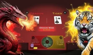 Trò Chơi Dragon Tiger Tại Z8Bet Bùng Nổ Tỷ Lệ Thắng Hấp Dẫn